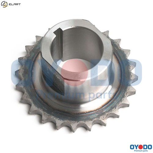 Timing chain kit - timing, 60r0516-oyo